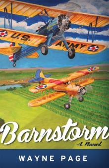 Barnstorm Read online