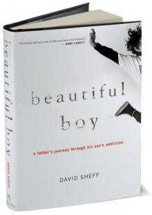 Beautiful Boy: A Father's Journey Through His Son's Addiction Read online