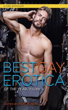 Best Gay Erotica of the Year, Volume 3 Read online