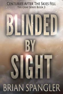 Blinded By Sight (Gray Series Book 3)