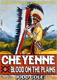 Blood on the Plains (A Cheyenne Western Book 5)