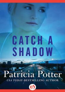 Catch a Shadow Read online
