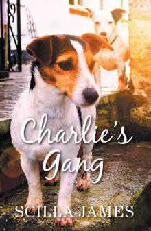 Charlie's Gang Read online