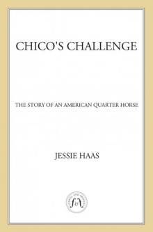 Chico's Challenge Read online