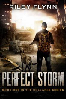 Collapse (Book 1): Perfect Storm Read online