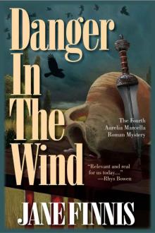 Danger in the Wind Read online