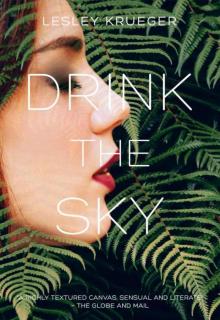 Drink the Sky Read online