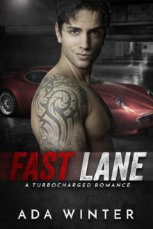 Fast Lane: A Turbocharged Romance Read online