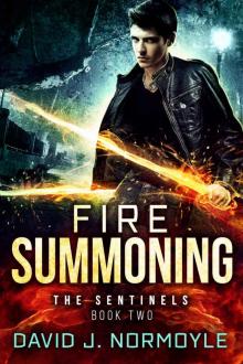 Fire Summoning (The Sentinels Book 2) Read online