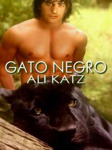 Gato Negro Read online