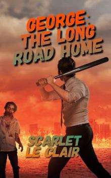 George (Book 1): The Long Road Home Read online