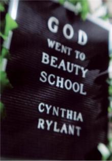God Went to Beauty School Read online