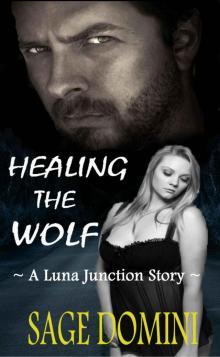 Healing the Wolf (BBW Paranormal Romance) (Luna Junction) Read online