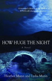 How Huge the Night Read online