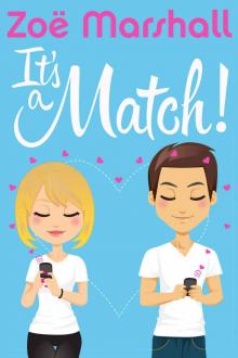 It's a Match! Read online