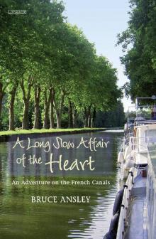 Long Slow Affair of the Heart, A Read online