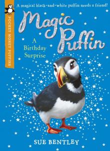 Magic Puffin: a Birthday Surprise (Pocket Money Puffin)