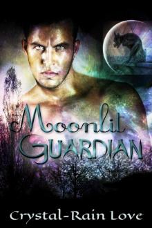 Moonlit Guardian Read online