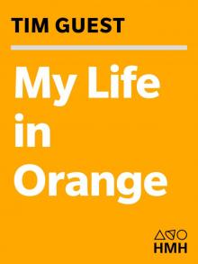 My Life in Orange