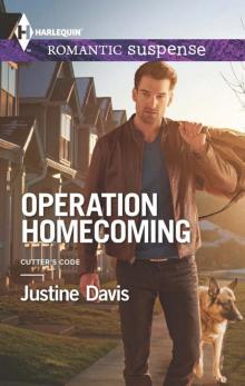 Operation Homecoming Read online