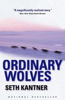 Ordinary Wolves Read online