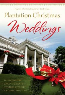 Plantation Christmas Weddings