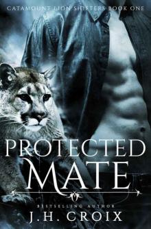 Protected Mate (Catamount Lion Shifters #1) Read online
