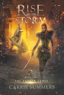 Rise of the Storm Read online