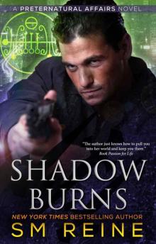 Shadow Burns: An Urban Fantasy Novel (Preternatural Affairs Book 4) Read online