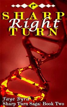 Sharp Right Turn (Sharp Turn Saga #2) Read online