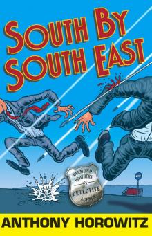 South by South East db-3 Read online