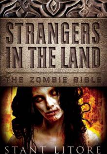 Strangers in the Land (The Zombie Bible) Read online