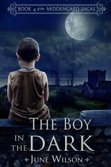 The Boy in the Dark