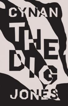 The Dig Read online