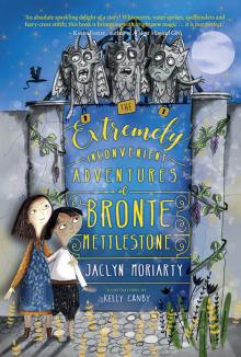 The Extremely Inconvenient Adventures of Bronte Mettlestone Read online
