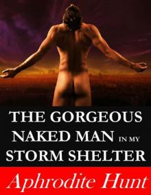 The Gorgeous Naked Man in my Storm Shelter (Erotic Suspense) Read online
