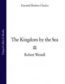 The Kingdom by the Sea Read online