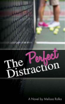 The Perfect Distraction (Volume 1)