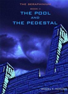 The Pool And The Pedestal (Book 2) Read online