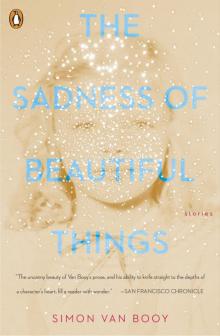 The Sadness of Beautiful Things: Stories Read online