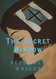 The Secret Window Read online