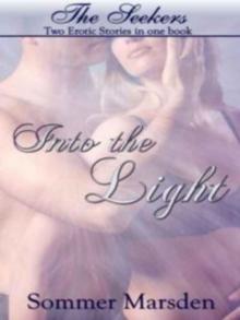 The Seekers: Into the Light Read online