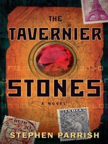 The Tavernier Stones: A Novel