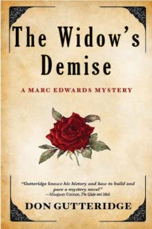 The Widow's Demise Read online