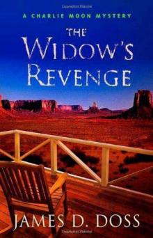 The Widow's Revenge Read online