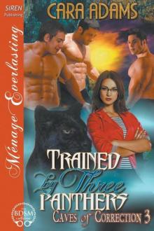Trained by Three Panthers [Caves of Correction 3] Read online