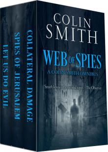 Web of Spies Read online
