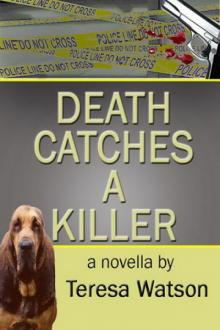 5 Death Catches A Killer Read online