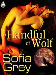 A Handful of Wolf Read online