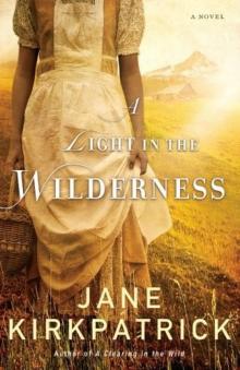 A Light in the Wilderness Read online